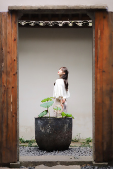 妈妈的朋友5左线播放